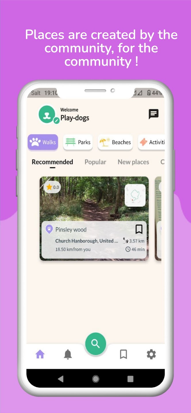 Play-Dogs: Walk with your dog