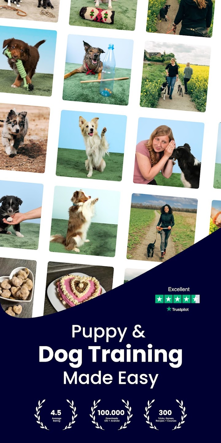 hundeo: Dog & Puppy Training