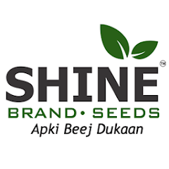 Shine Brand Seeds: Agriculture 